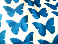 Butterfly Ribbon Designs