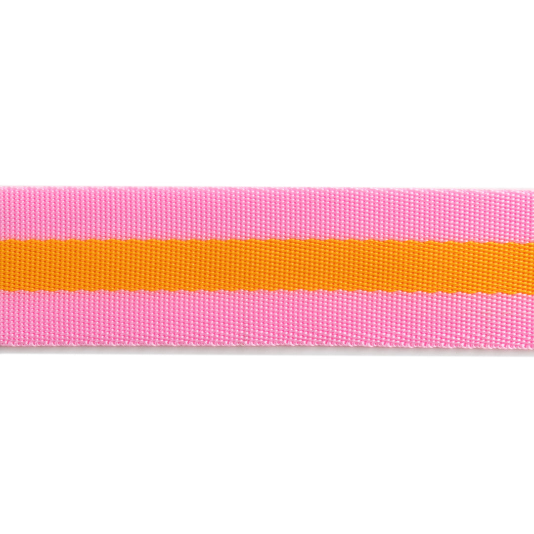 2yd Pink and Orange - 1.5" Nylon Webbing - by Tula Pink - PRO 6pk