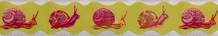 Down to Earth - Snailed It in Afterglow - 7/8" width - by Tula Pink - 15 yd spool (Preorder)