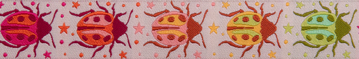 Down to Earth - Spot On in Afterglow - 7/8" width - by Tula Pink - 15 yd spool (Preorder)