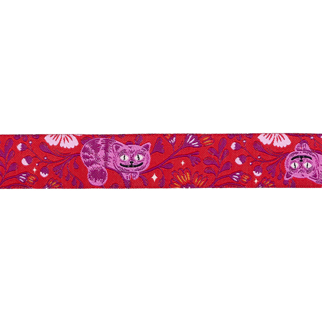 Hello Alice - Cheshire - 7/8" width - by Sarah Watts - 15 Yard Spool