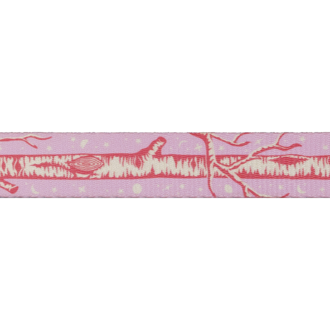 Full Moon Forest II - Little Tree Webbing in Honey - 1" width - by Tula Pink - 3 Yard Pack