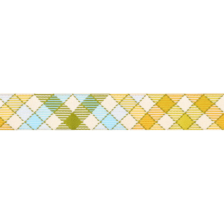 Animal Park Fun - Multi Gingham Bias 7/8" - by Stacy Iest Hsu - 15 Yard Spool