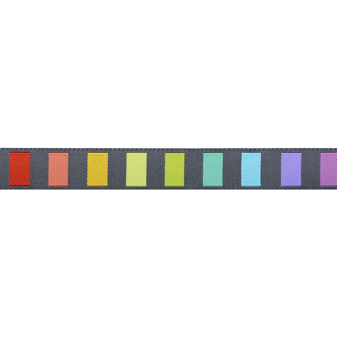 Graywork - Disco Stripe in Carbon - 5/8" width - by Tula Pink - 15 Yard Spool