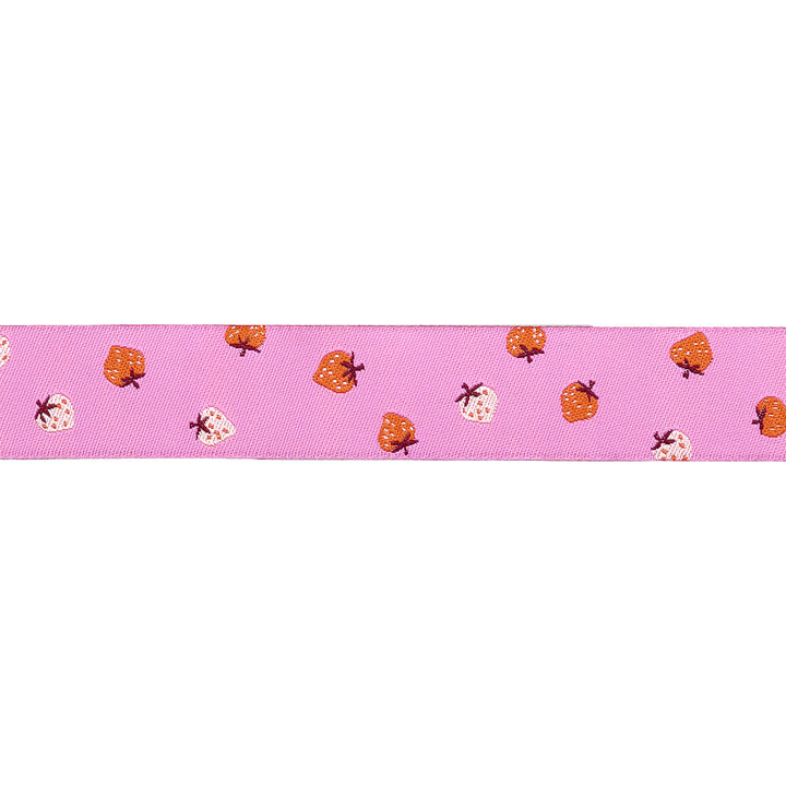 Strawberry - Strawberry Toss in Daisy - 7/8" width - by Kimberly Kight - 15 Yard Spool