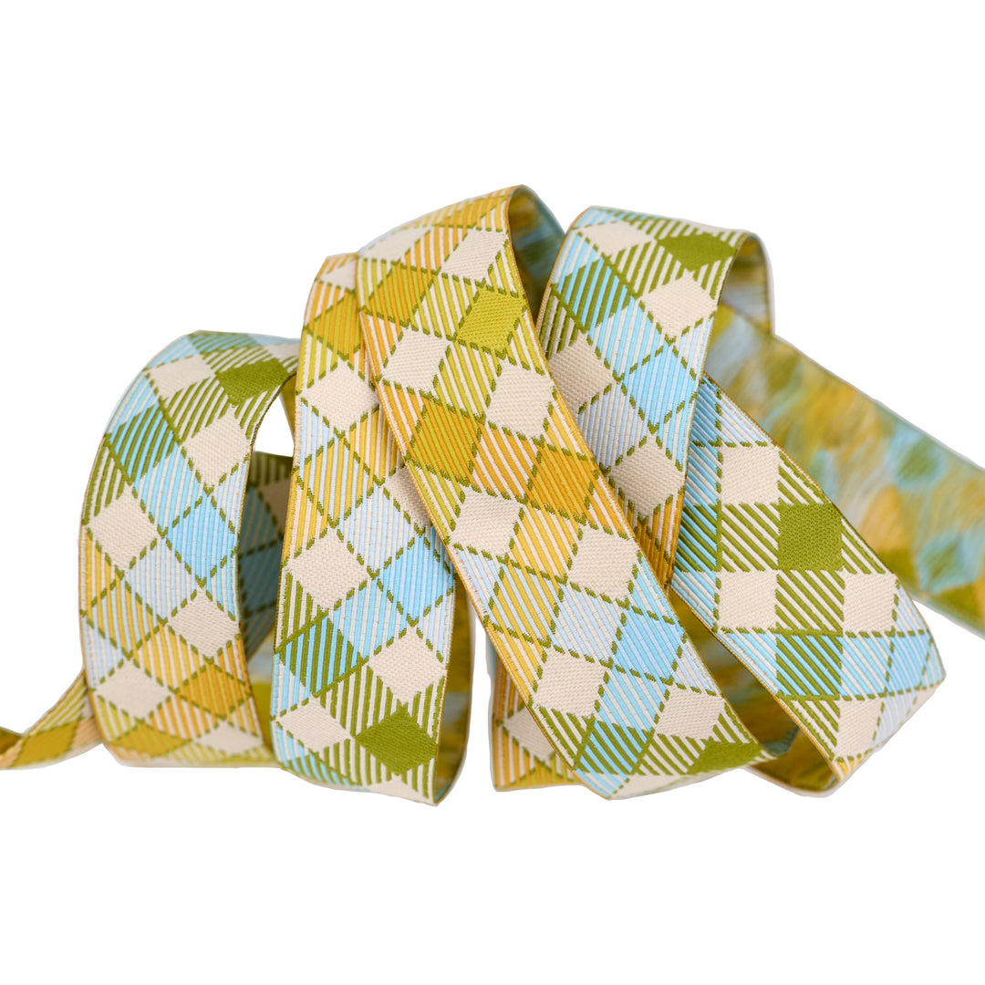 Animal Park Fun - Multi Gingham Bias 7/8" - by Stacy Iest Hsu - 15 Yard Spool