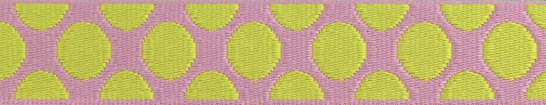 Down to Earth - Dot Webbing in Cherry Limeade 1" - by Tula Pink - 16 Yard Spool (Preorder)