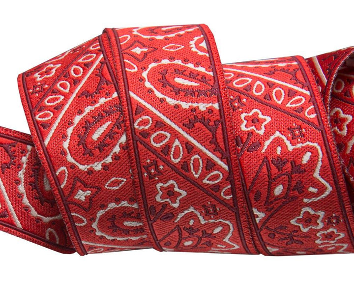 Bandana on Red- by Raphael Kerley