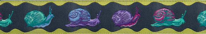 Down to Earth - Snailed It in Daybreak - 7/8" width - by Tula Pink - 15 yd spool (Preorder)