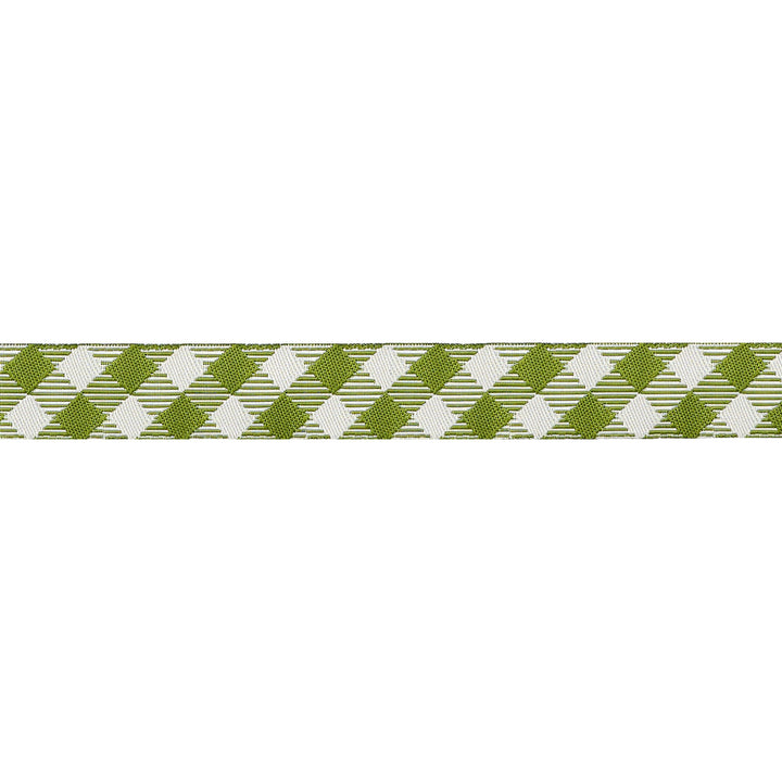 My Secret Garden - Garden Gingham in Leafy - 5/8" width - by Stacy Iest Hsu - 15 Yard Spool