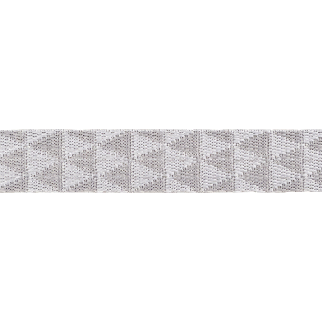 Graywork - Kinda Shady in Whisper WEBBING - 1" width - by Tula Pink - 16 Yard Spool