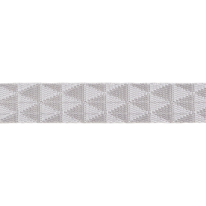 Graywork - Kinda Shady in Whisper WEBBING - 1" width - by Tula Pink - 16 Yard Spool