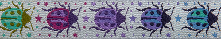 Down to Earth - Spot On in Daybreak - 7/8" width - by Tula Pink - 15 yd spool (Preorder)