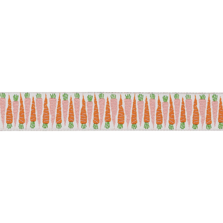 In the Vegetable Garden - Carrot - 7/8" width - by Loes Van Oosten - 15 Yard Spool