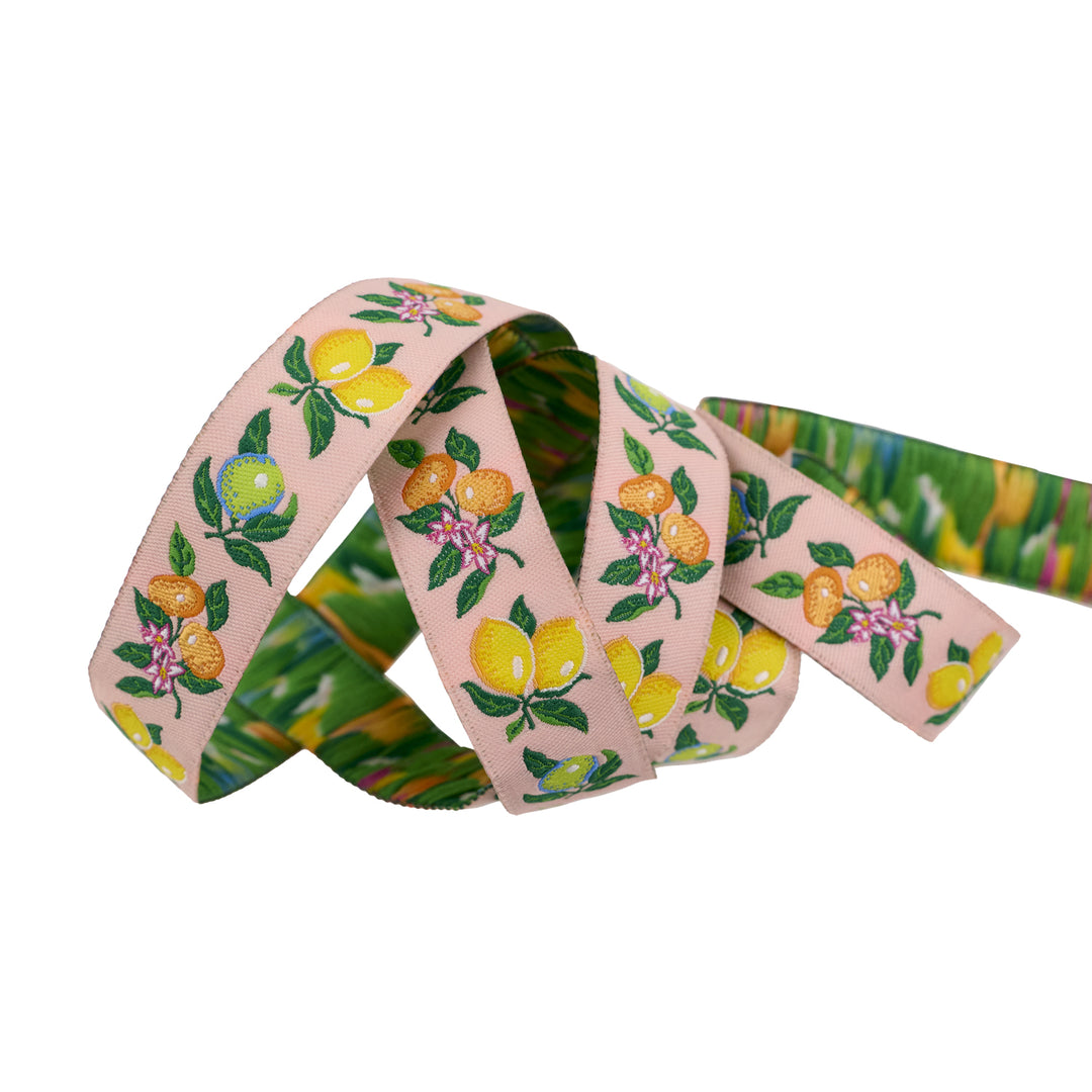 Fresh Squeezed - 3/4" width - La Dolce Vita by Stacy Peterson - 15 Yard Spool