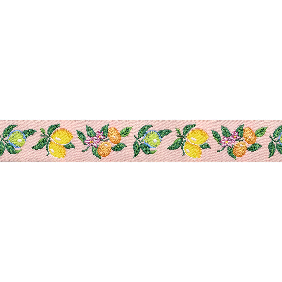 Fresh Squeezed - 3/4" width - La Dolce Vita by Stacy Peterson - 15 Yard Spool