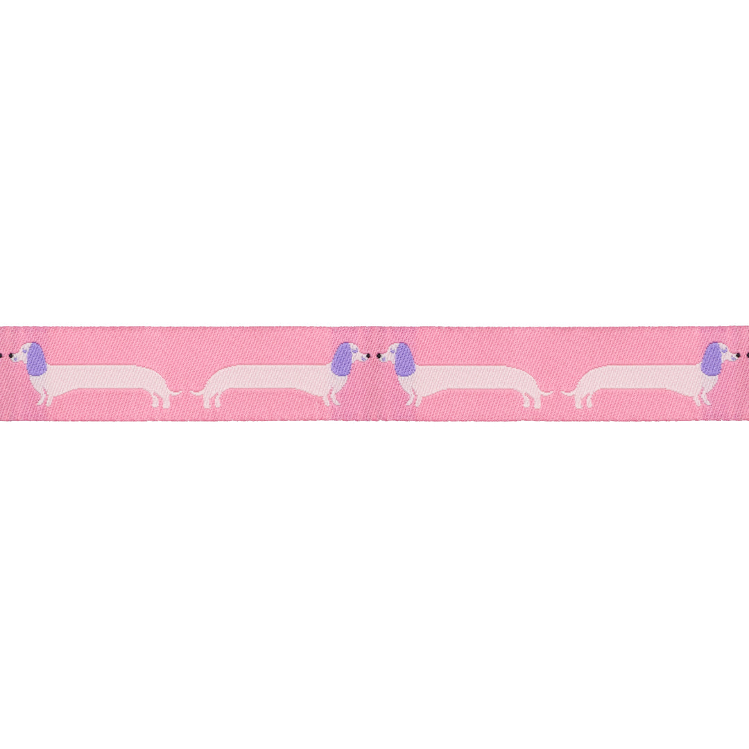 Long Dog - 5/8" width - Dog Park by Sarah Watts - 15 Yard Spool