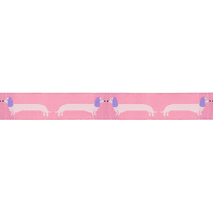 Long Dog - 5/8" width - Dog Park by Sarah Watts - 15 Yard Spool