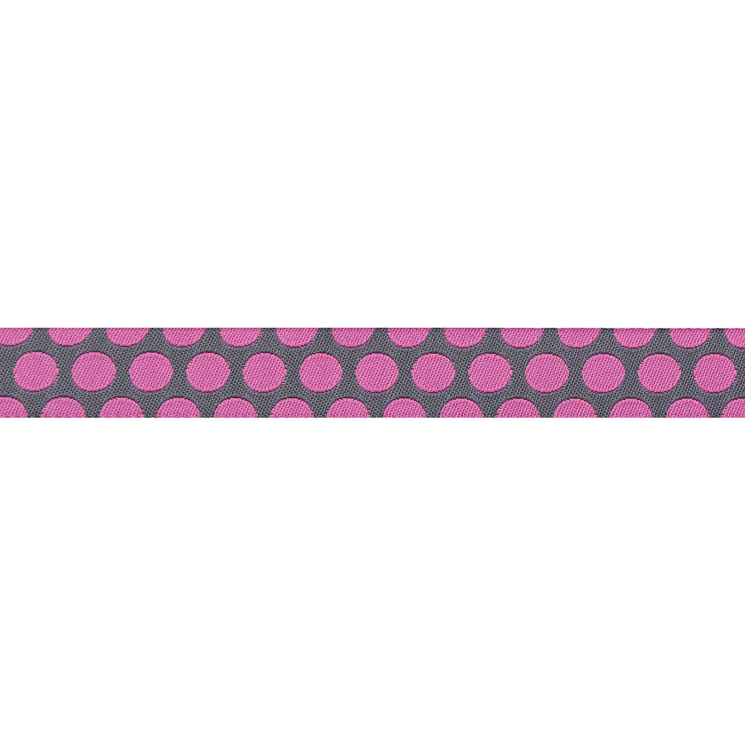 Dinosaur Eggs in Mist - 5/8" width - Tula Pink Roar! - 15 yd Spool