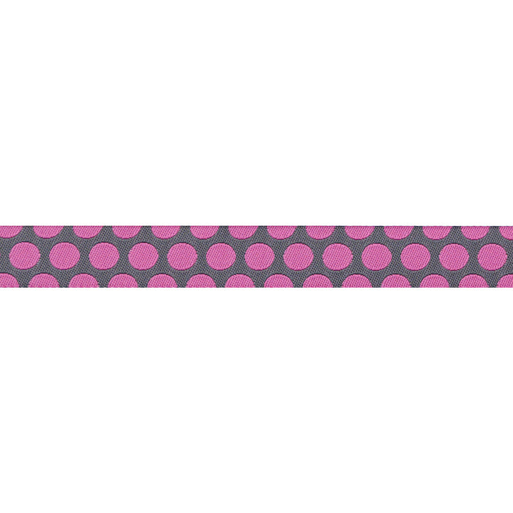 Dinosaur Eggs in Mist - 5/8" width - Tula Pink Roar! - 15 yd Spool