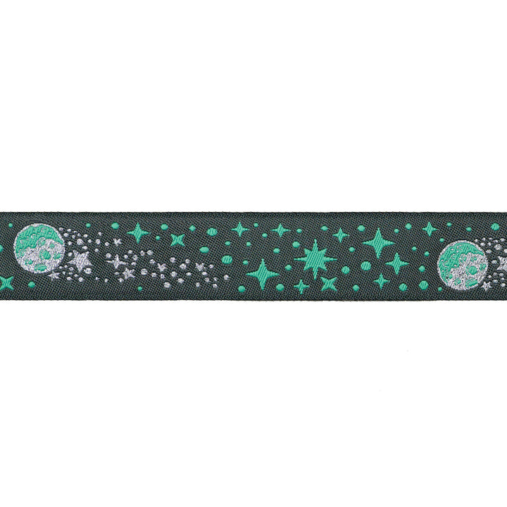 Meteor Shower in Storm - 7/8" width - Tula Pink Roar! - 15 yd Spool
