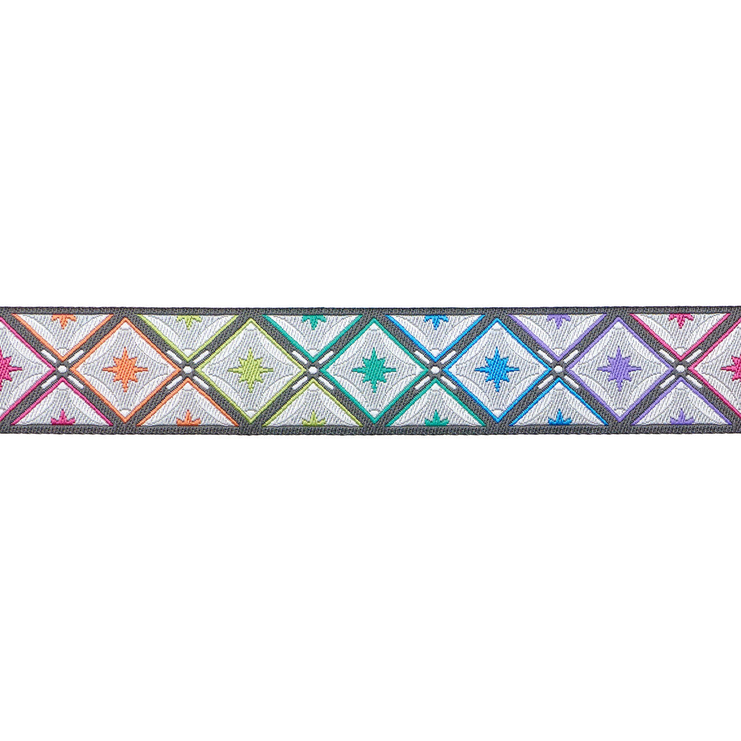 Stargazer in Storm - 7/8" width - Tula Pink Roar! - 15 yd Spool
