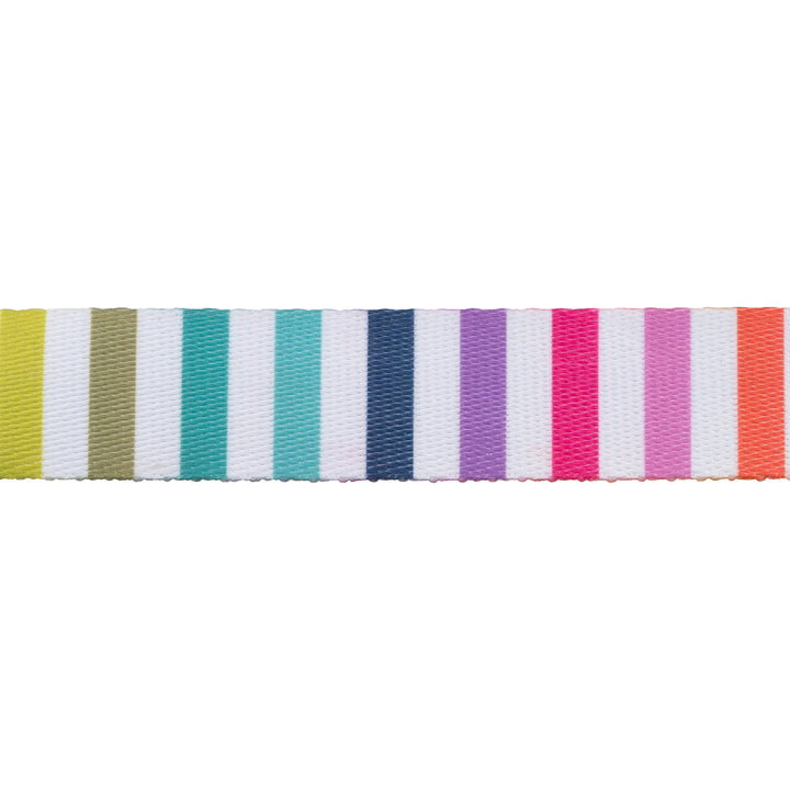 Disco Stripe Webbing - 1" width - Tula Pink Tabby Road - 16 yd Spool