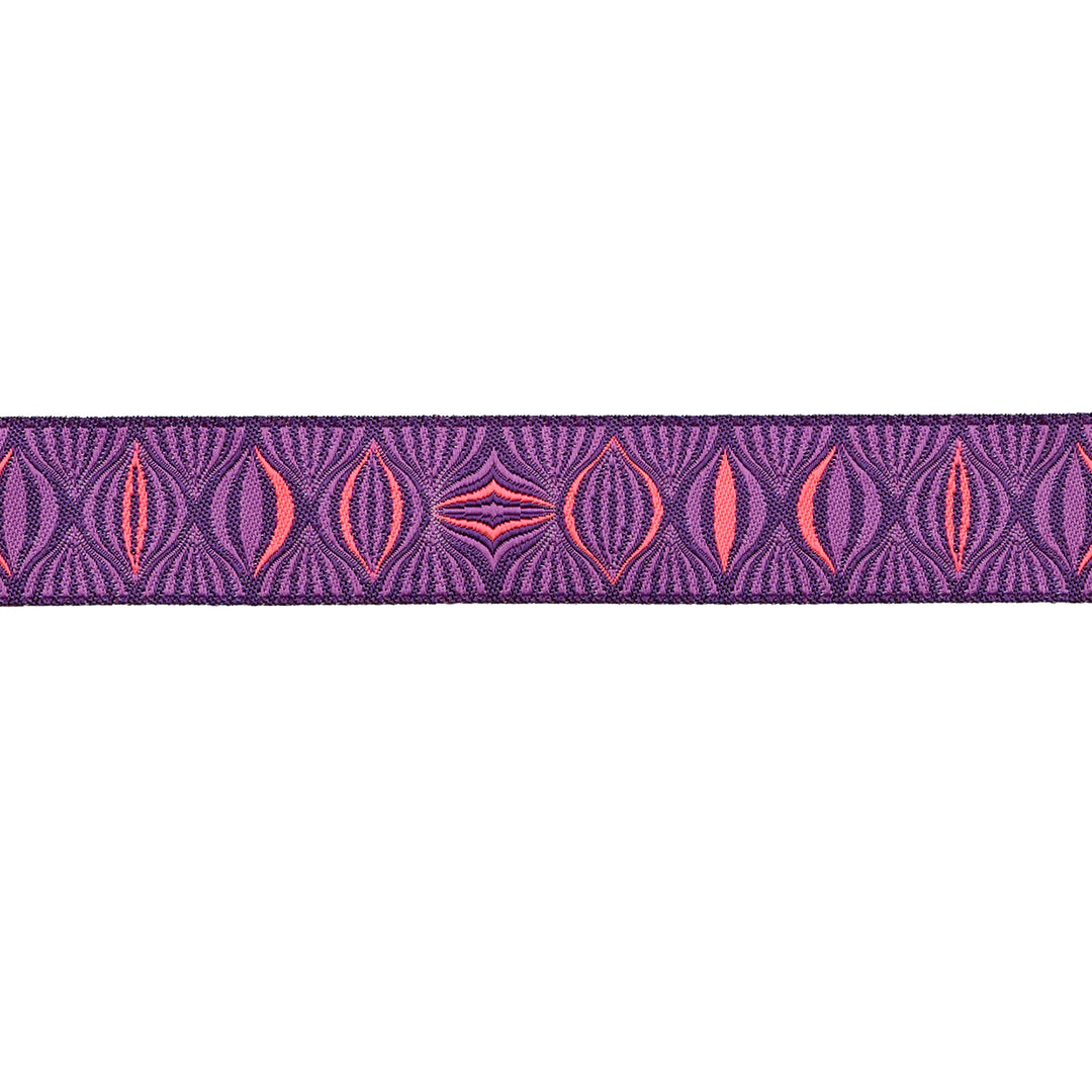 Light the Way in Nova - 7/8" width - Tula Pink Untamed - 15 Yard Spool