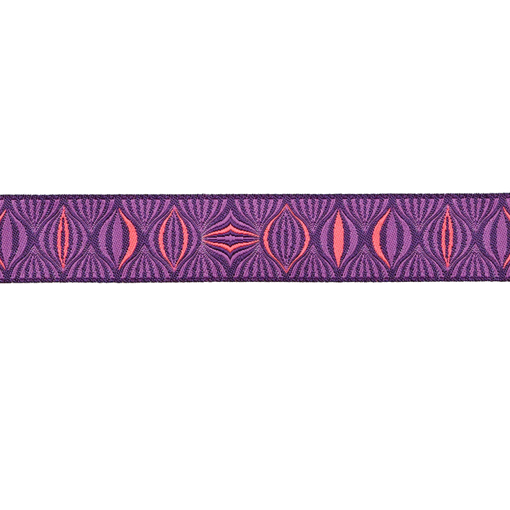 Light the Way in Nova - 7/8" width - Tula Pink Untamed - 15 Yard Spool