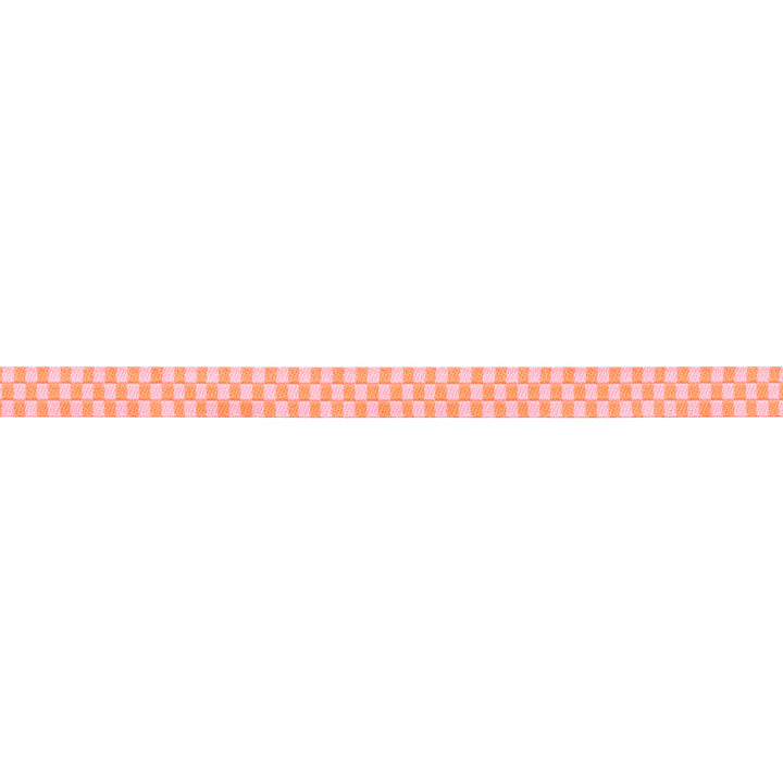 Check Please in Lunar - 1/4" width - Tula Pink Untamed - 15 Yard Spool