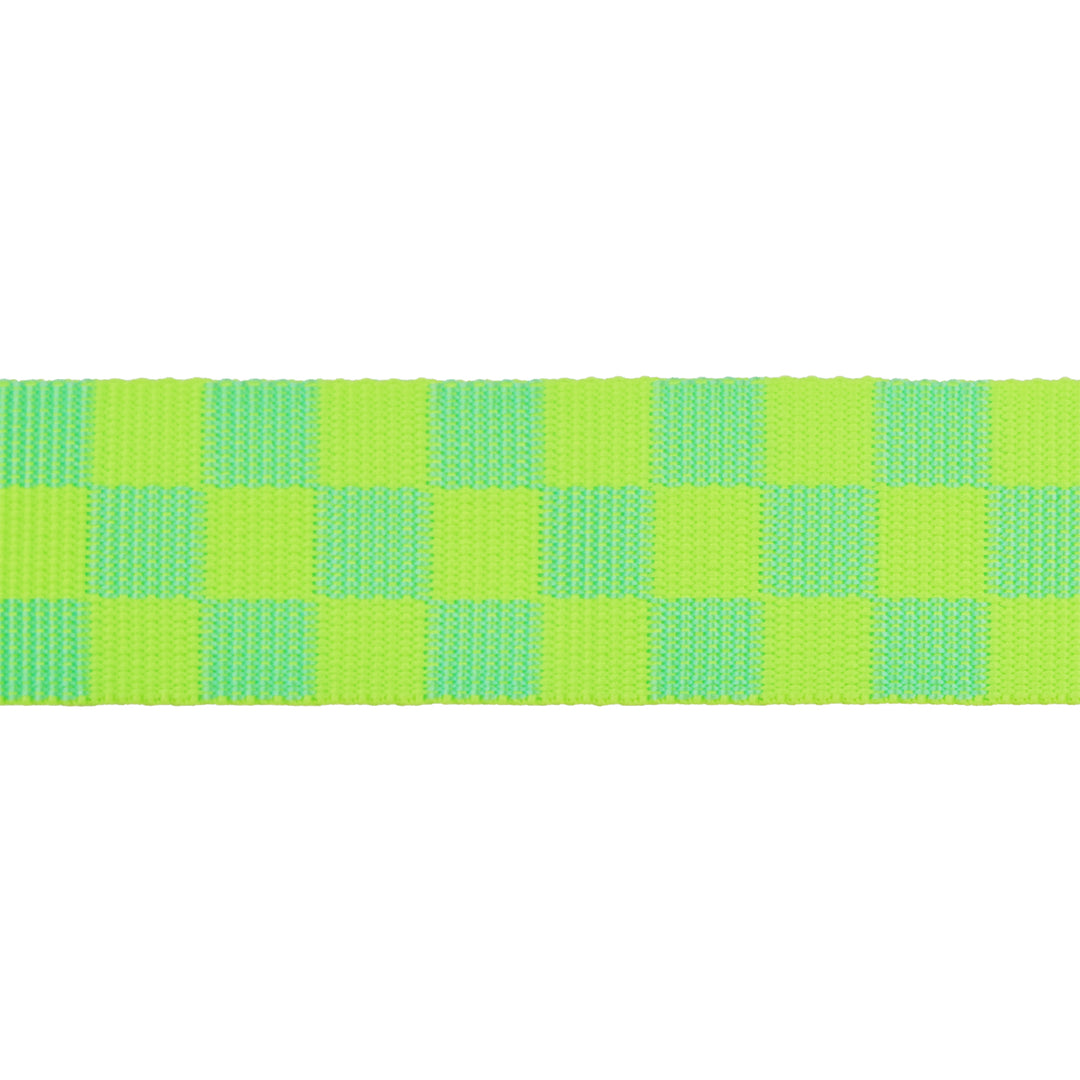 1-1/2" Webbing - Check Please in Moonbeam - Tula Pink Untamed - 16 Yard Spool