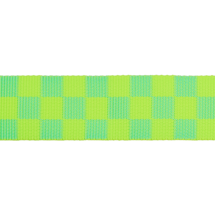 1-1/2" Webbing - Check Please in Moonbeam - Tula Pink Untamed - 16 Yard Spool