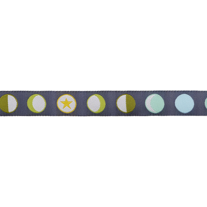 Full Moon Forest II - Phases in Starlight - 5/8" width - by Tula Pink - 15 Yard Spool