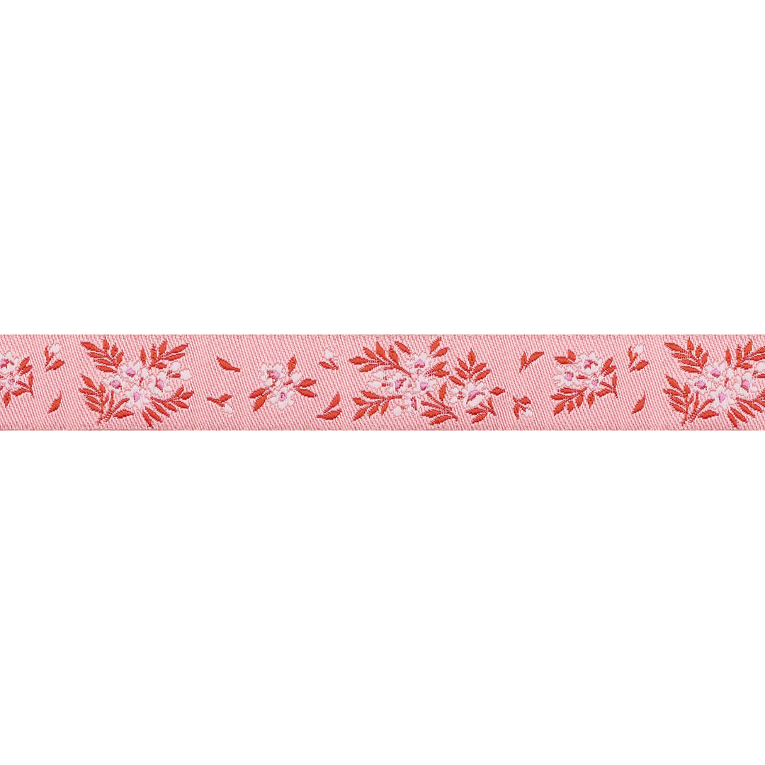 True Colors 2025 - What a Ditz in Peachy Keen - 5/8" width - by Tula Pink - 15 Yard Spool