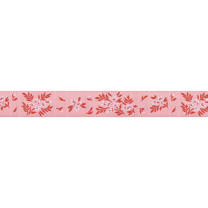 True Colors 2025 - What a Ditz in Peachy Keen - 5/8" width - by Tula Pink - 15 Yard Spool