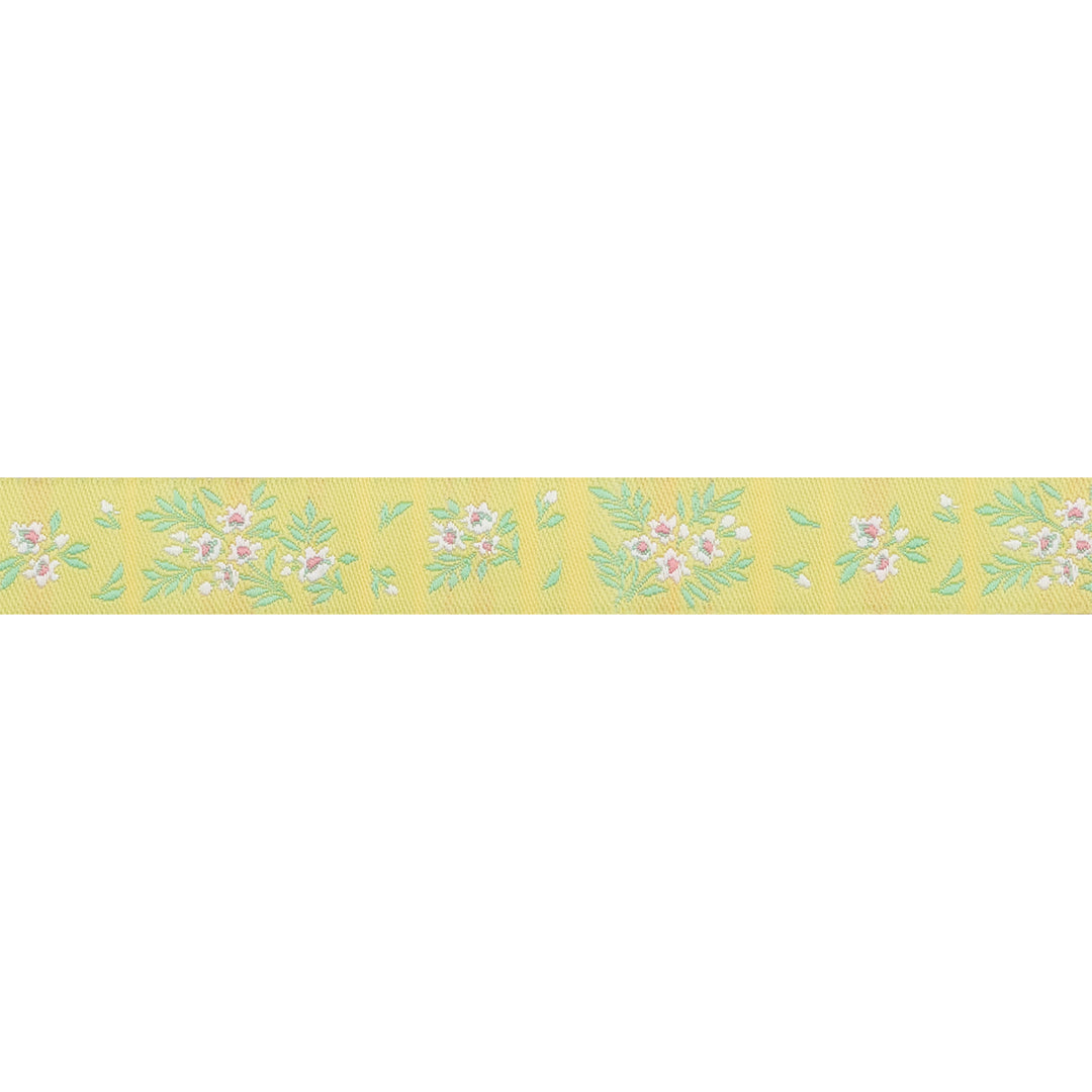 True Colors 2025 - What a Ditz in Buttercup - 5/8" width - by Tula Pink - 15 Yard Spool