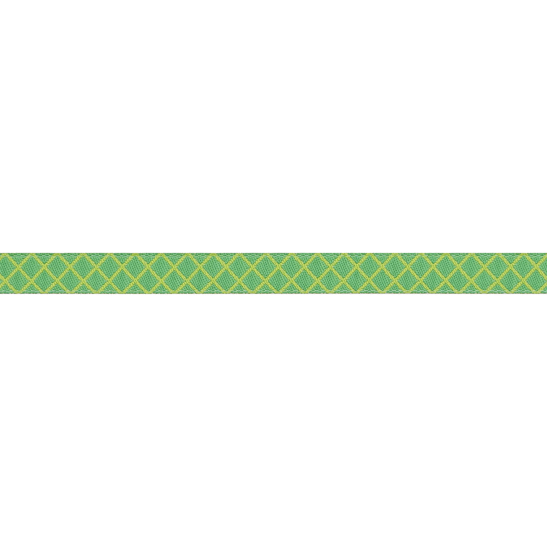 True Colors 2025 - On the Grid in Apple - 3/8" width - by Tula Pink - 15 Yard Spool