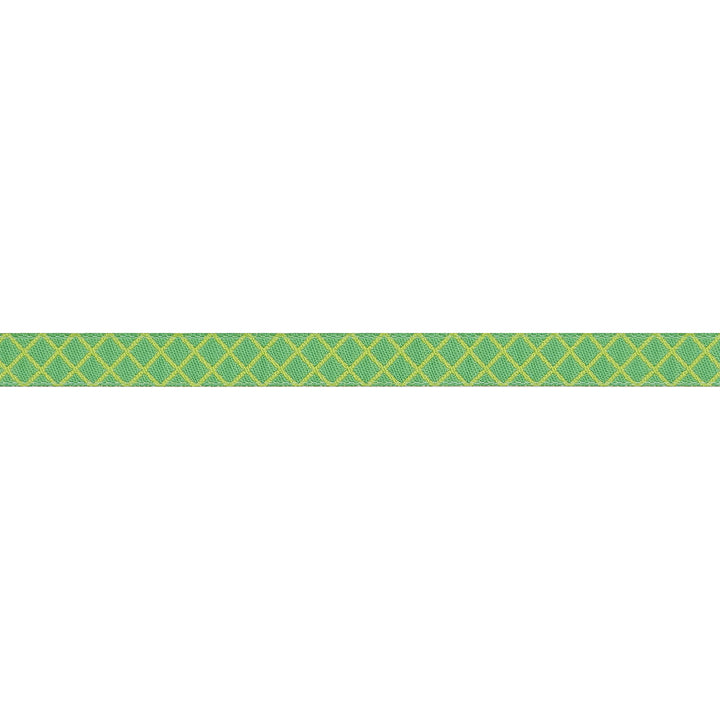 True Colors 2025 - On the Grid in Apple - 3/8" width - by Tula Pink - 15 Yard Spool