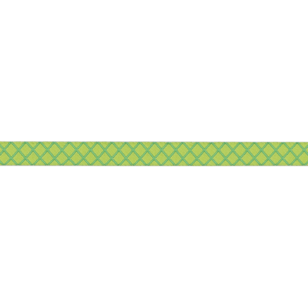 True Colors 2025 - On the Grid in Apple - 3/8" width - by Tula Pink - 15 Yard Spool