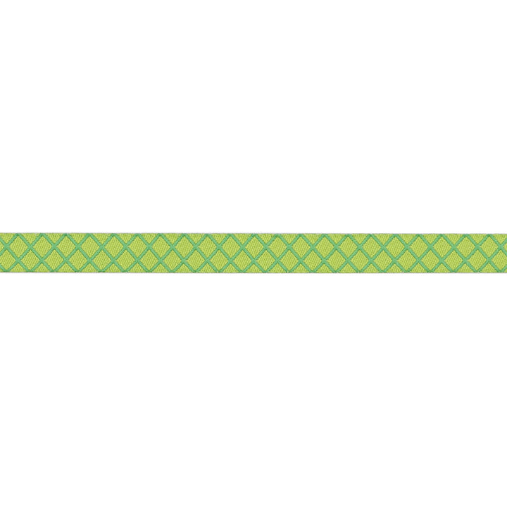 True Colors 2025 - On the Grid in Apple - 3/8" width - by Tula Pink - 15 Yard Spool
