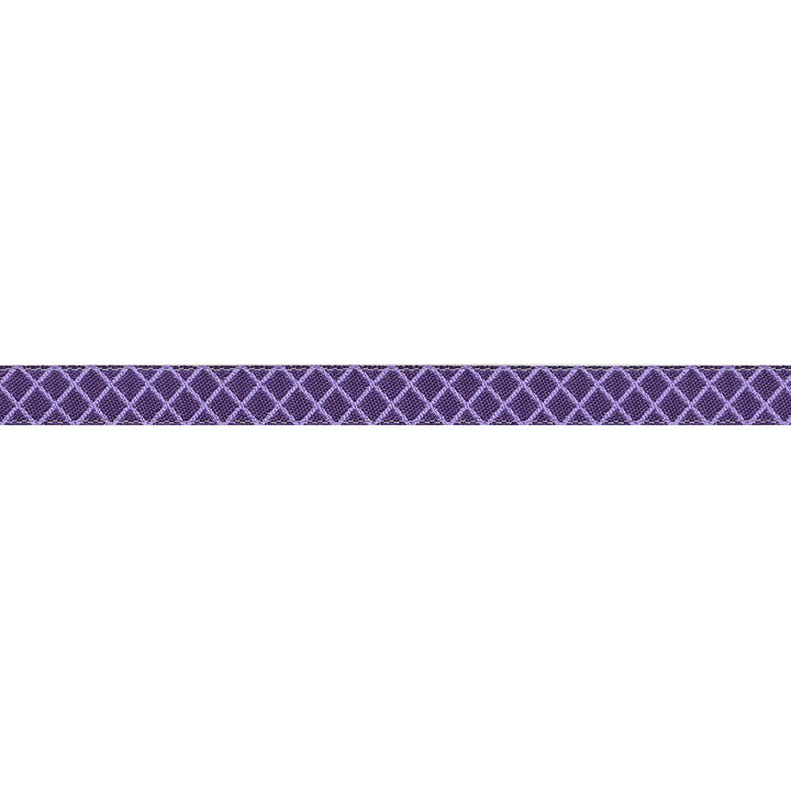 True Colors 2025 - On the Grid in Mysterious - 3/8" width - by Tula Pink - 15 Yard Spool