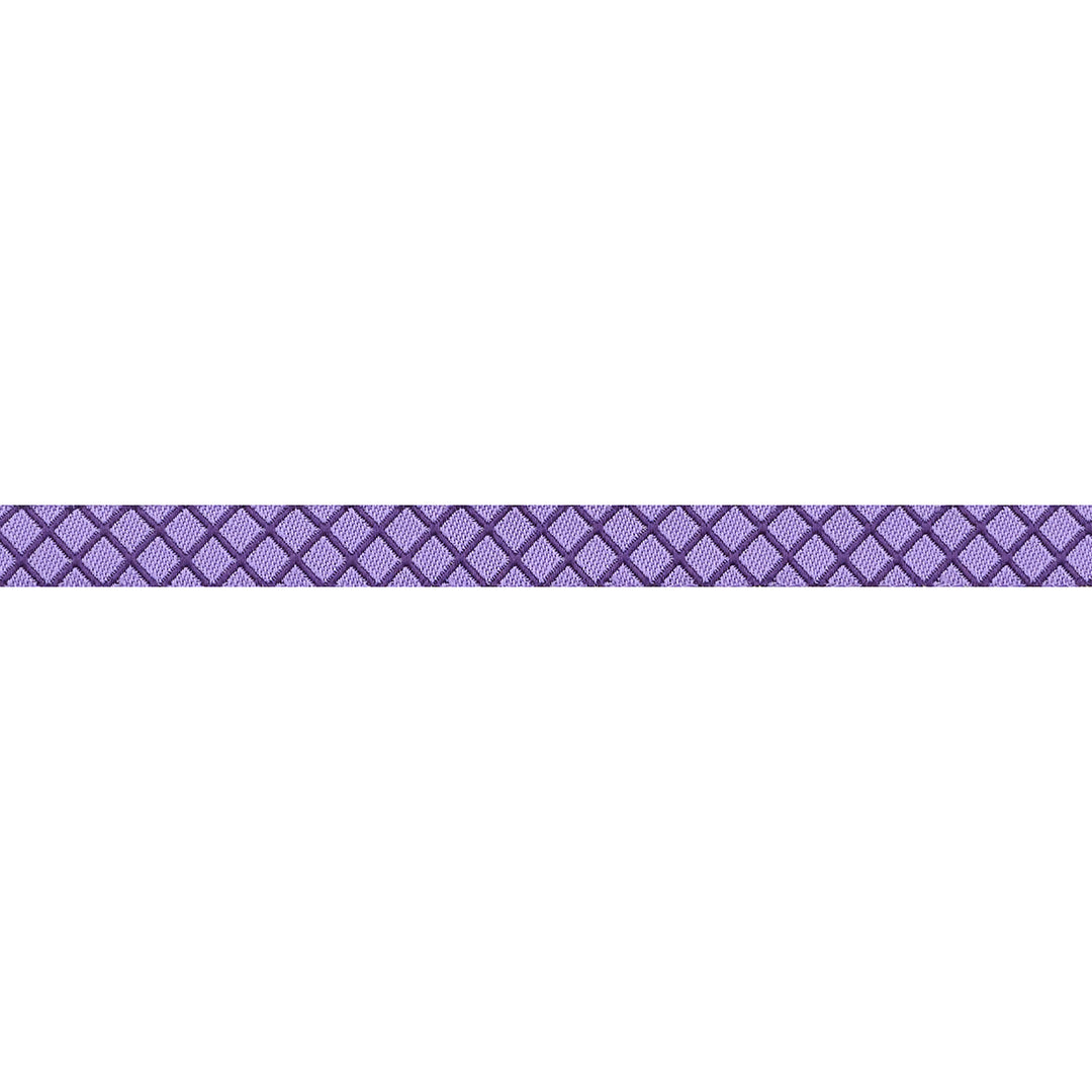 True Colors 2025 - On the Grid in Mysterious - 3/8" width - by Tula Pink - 15 Yard Spool