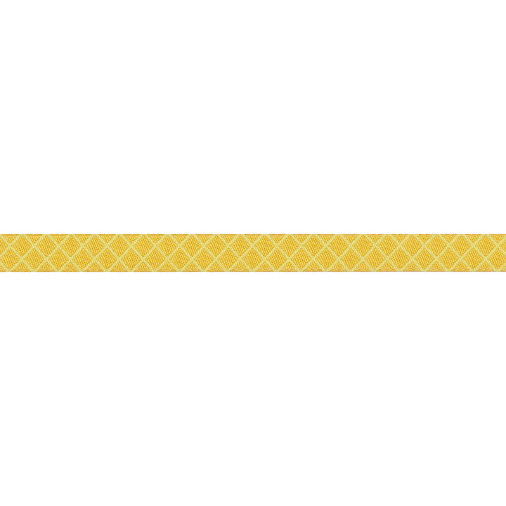 True Colors 2025 - On the Grid in Highlighter - 3/8" width - by Tula Pink - 15 Yard Spool