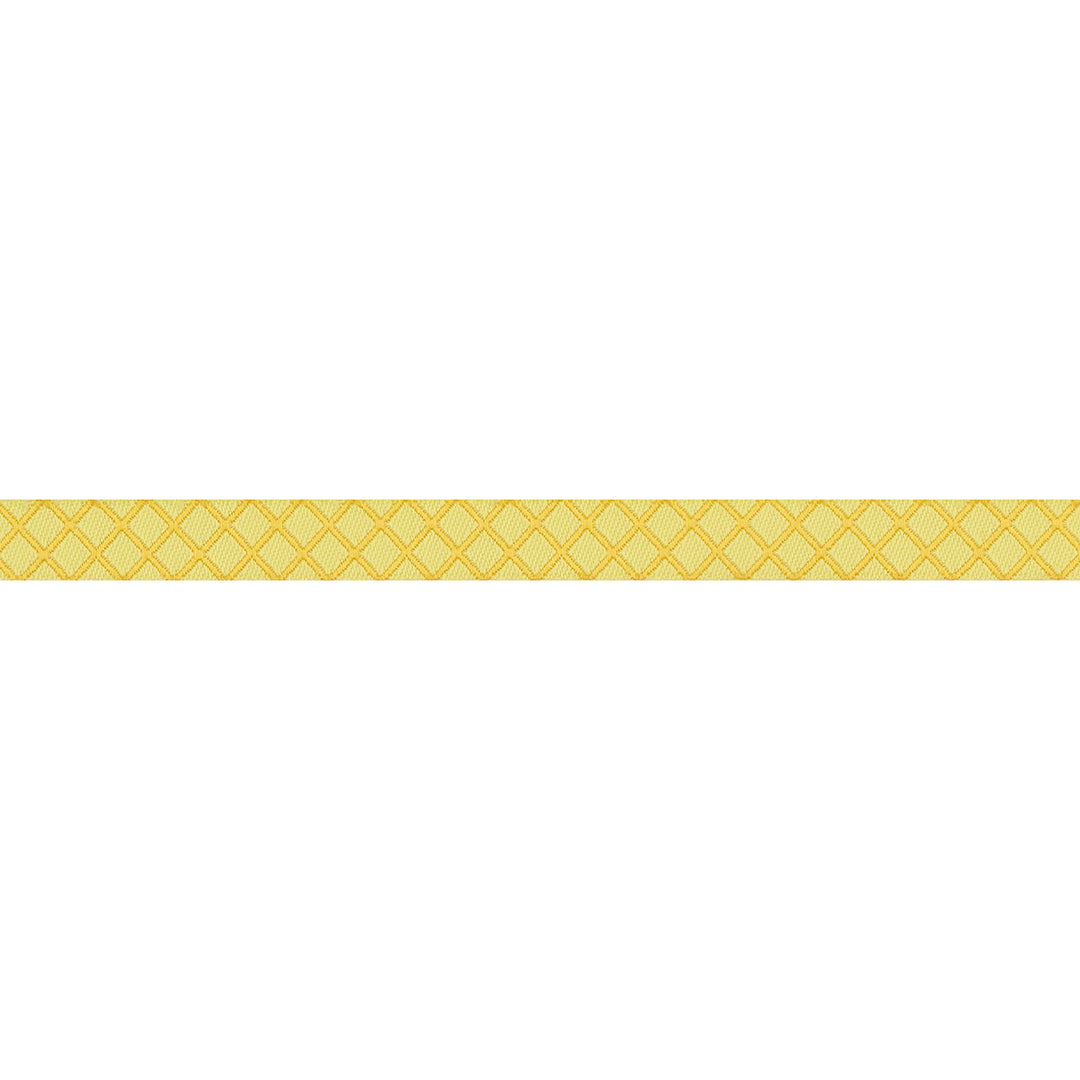 True Colors 2025 - On the Grid in Highlighter - 3/8" width - by Tula Pink - 15 Yard Spool