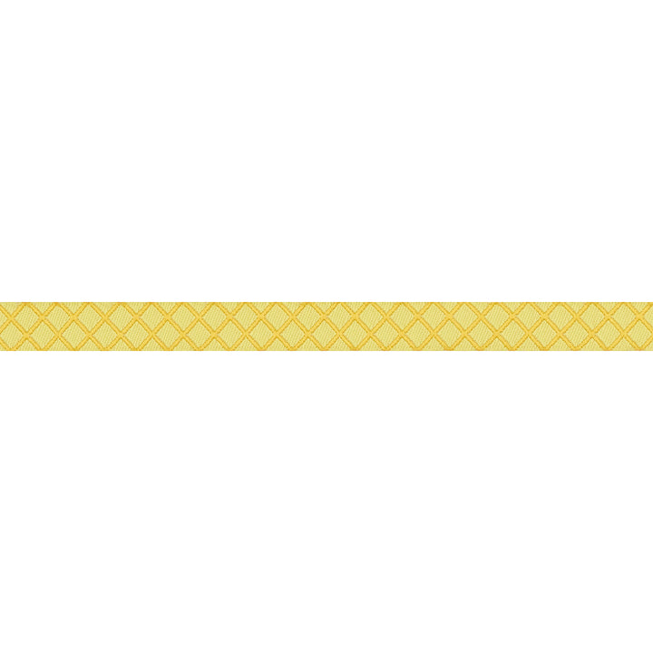 True Colors 2025 - On the Grid in Highlighter - 3/8" width - by Tula Pink - 15 Yard Spool