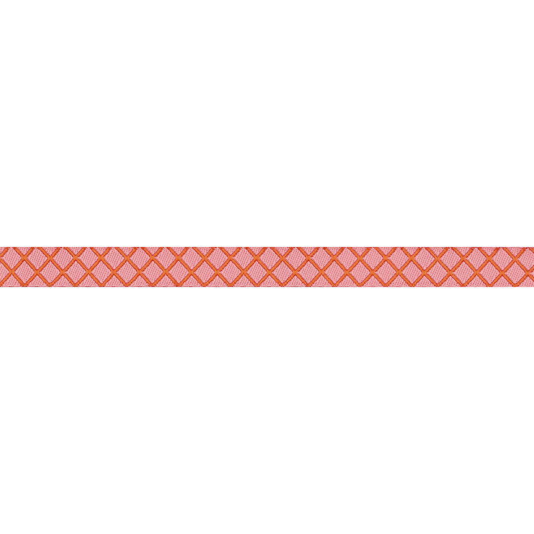 True Colors 2025 - On the Grid in Salmon - 3/8" width - by Tula Pink - 15 Yard Spool