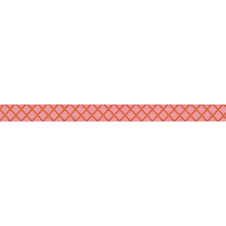 True Colors 2025 - On the Grid in Salmon - 3/8" width - by Tula Pink - 15 Yard Spool