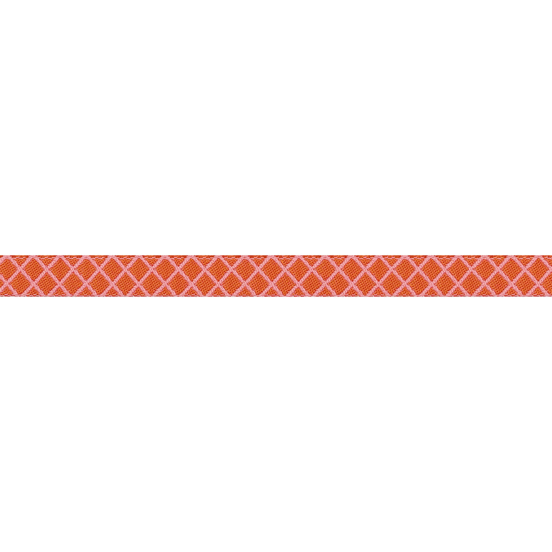 True Colors 2025 - On the Grid in Salmon - 3/8" width - by Tula Pink - 15 Yard Spool