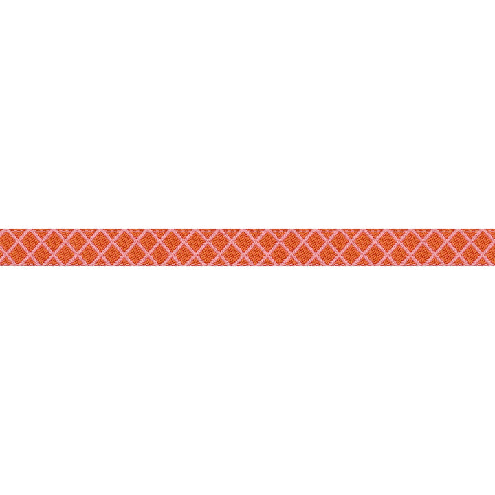 True Colors 2025 - On the Grid in Salmon - 3/8" width - by Tula Pink - 15 Yard Spool