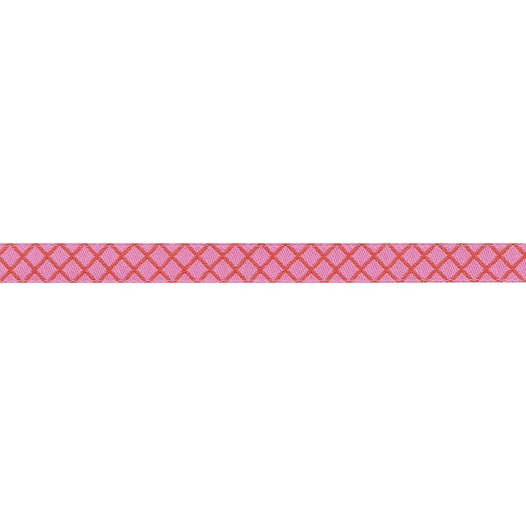 True Colors 2025 - On the Grid in Bubblegum - 3/8" width - by Tula Pink - 15 Yard Spool